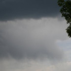 Hasenase - Bild 4