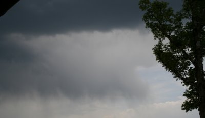 Hasenase - Bild 4