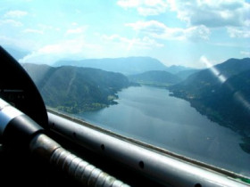 karawankenbaer - Bild 2