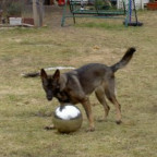 Knuddel15 - Bild 3