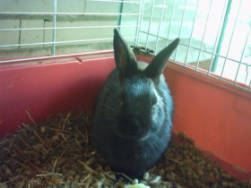 sunny439 - Bild 3