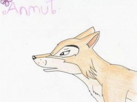 Cael - Bild 9