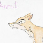 Cael - Bild 9