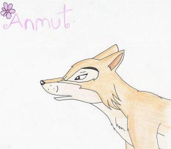 Cael - Bild 9