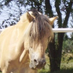 michelle1991 - Bild 9