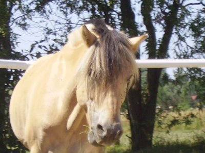 michelle1991 - Bild 9
