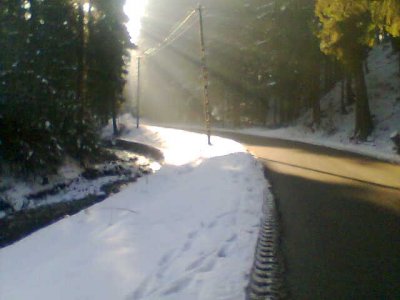 emila28 - Bild 2