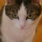 Juliamausal - Bild 9