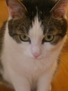Juliamausal - Bild 9