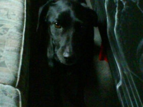 Given_Up - Bild 2