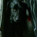 Given_Up - Bild 2