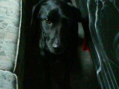 Given_Up - Bild 2