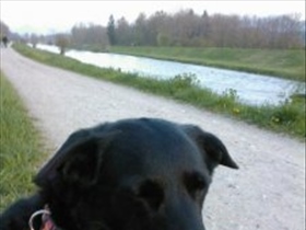 Given_Up - Bild 3