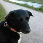 Given_Up - Bild 3