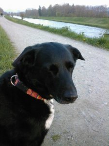 Given_Up - Bild 3