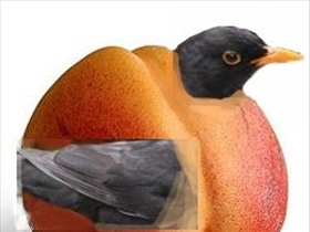 Colamsel - Bild 4