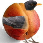 Colamsel - Bild 4