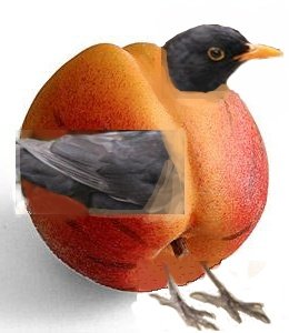 Colamsel - Bild 4