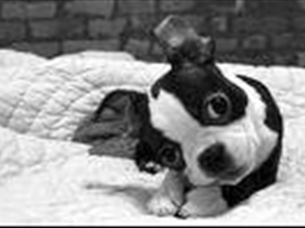 SINA_xD - Bild 7