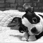 SINA_xD - Bild 7
