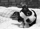 SINA_xD - Bild 7