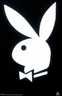 Bunny69 - Bild 3