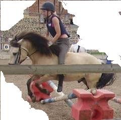 michelle1991 - Bild 6