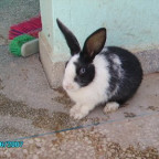 isamachek - Bild 2