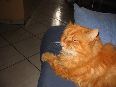carla35 - Bild 2