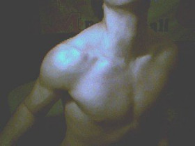 Wayne - Bild 3