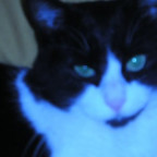 Yulia85 - Bild 2