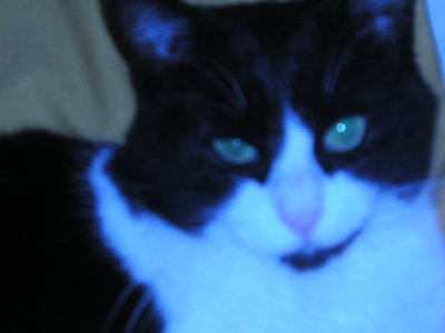 Yulia85 - Bild 2