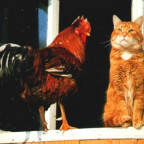 DieKleine - Bild 2