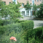 lemmy - Bild 6