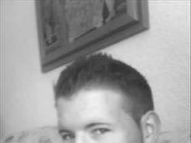 STEVO - Bild 1