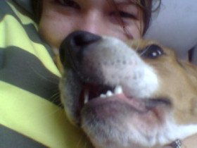 poneey - Bild 3
