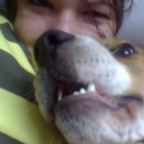 poneey - Bild 3