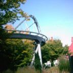 Celebration - Bild 8