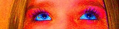 niffi - Bild 2
