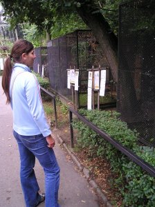 terka - Bild 4