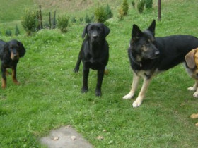 Melinda - Bild 8