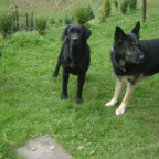 Melinda - Bild 8