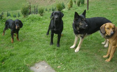 Melinda - Bild 8