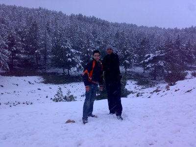krimo - Bild 4
