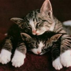 Sw33tBaby - Bild 5