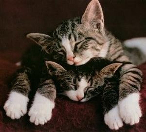 Sw33tBaby - Bild 5