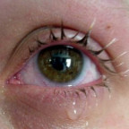 hallo0o0o0o - Bild 2