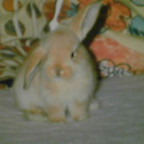 Isabella2542 - Bild 3