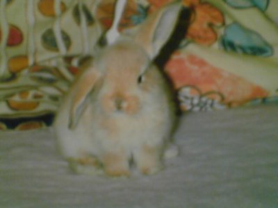 Isabella2542 - Bild 3