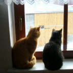Cathleen30 - Bild 2